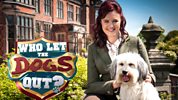 Who Let The Dogs Out? - Series 3 - Water Dogs