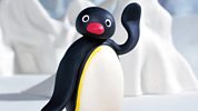 Pingu - Series 7 - Pampering Pingu