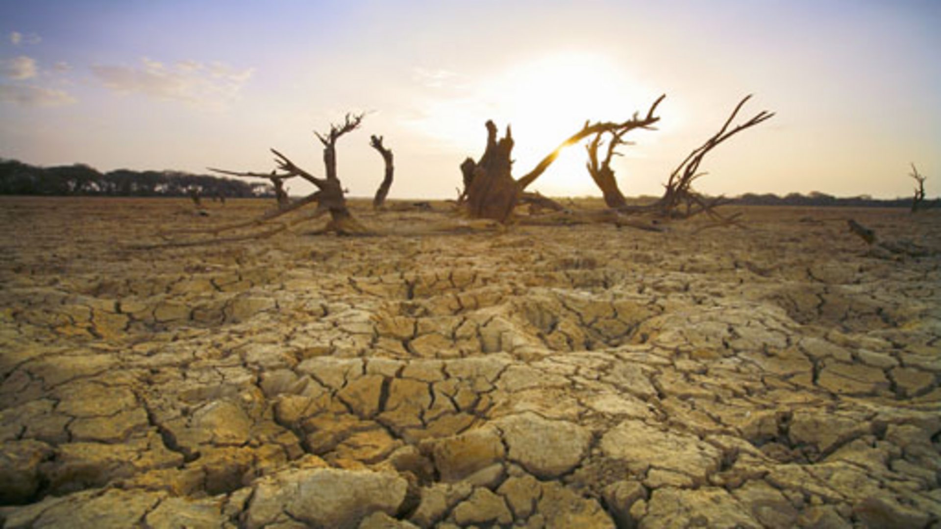 Пустыня 8. Засуха в джунглях. Bbc Earth о пустыня молодой ведущий. Deseris. Leave the Desert.