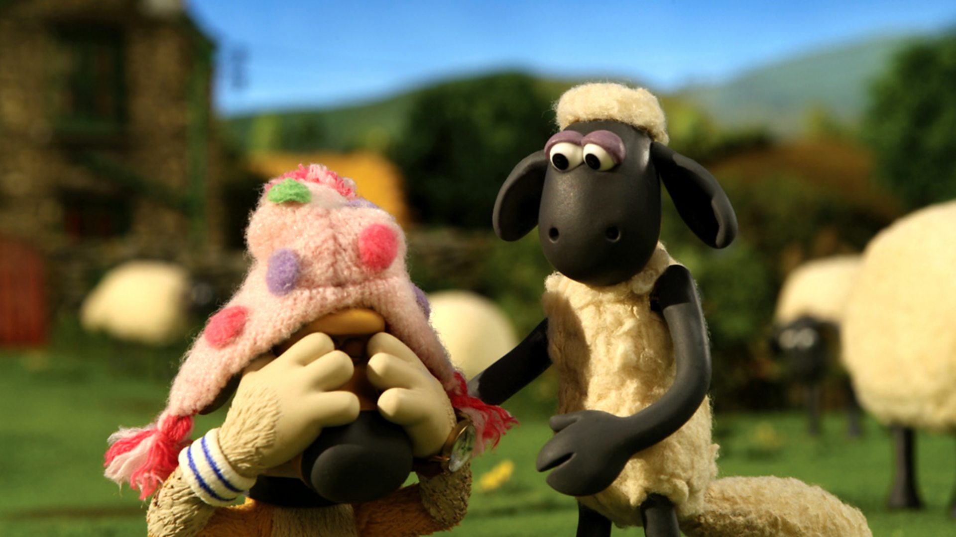 BBC iPlayer - Shaun the Sheep - Series 2: 13. Bitzers New Hat