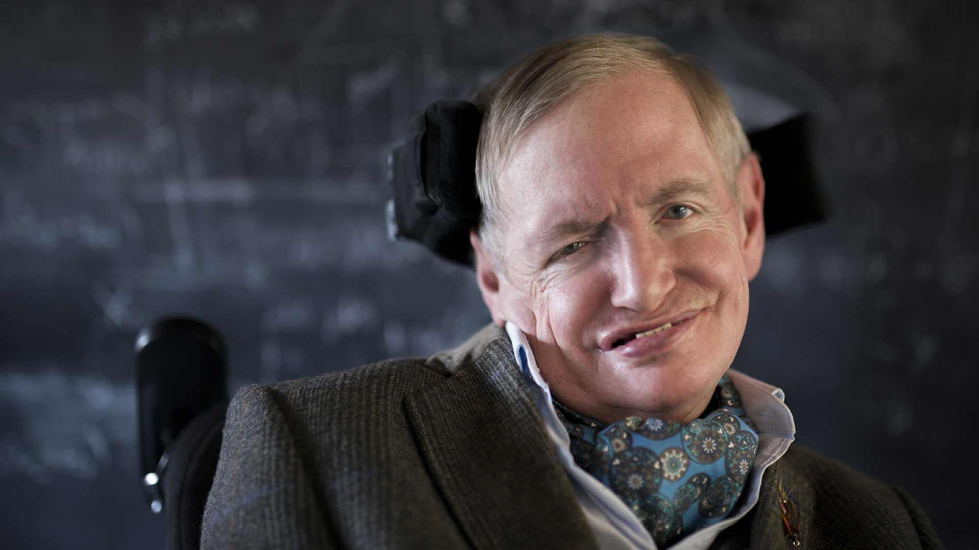 Stephen Hawking Scientist in the public eye  BBC News