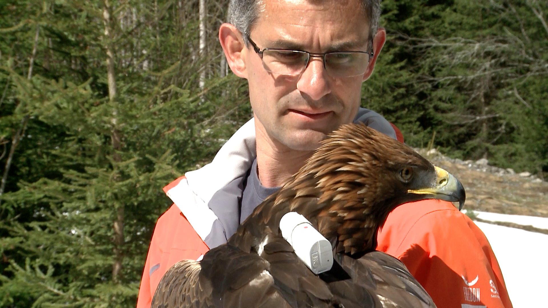 Bbc One Planet Earth Ii Getting An Eagles Eye View