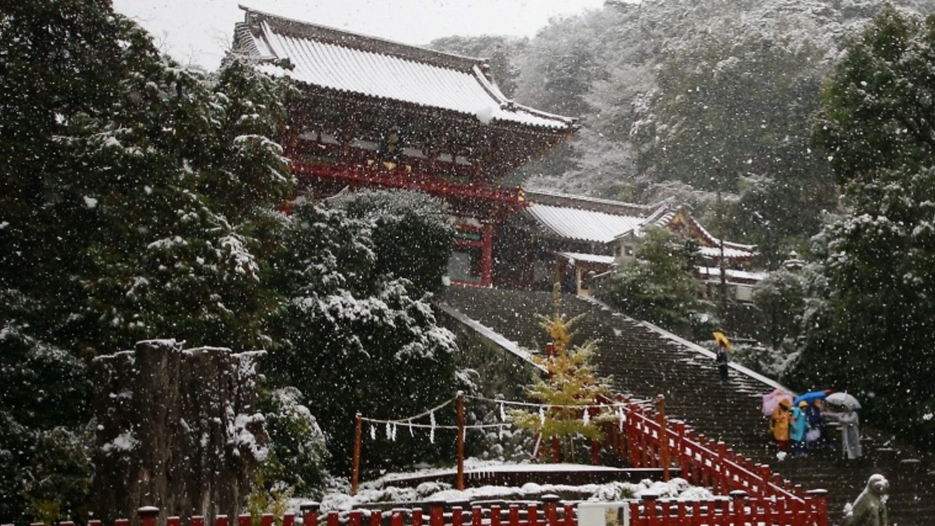 Snow Falls in Tokyo for the First Time in November Since 1962