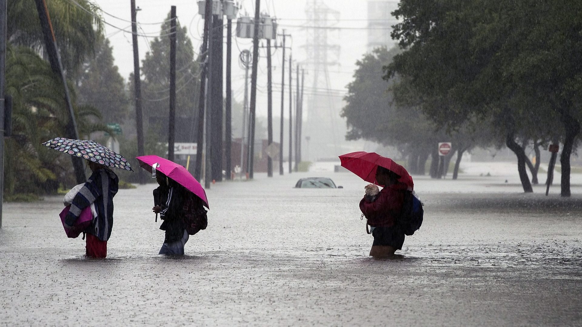 Trump On Houston Flood Texas Can Handle Anything Bbc News