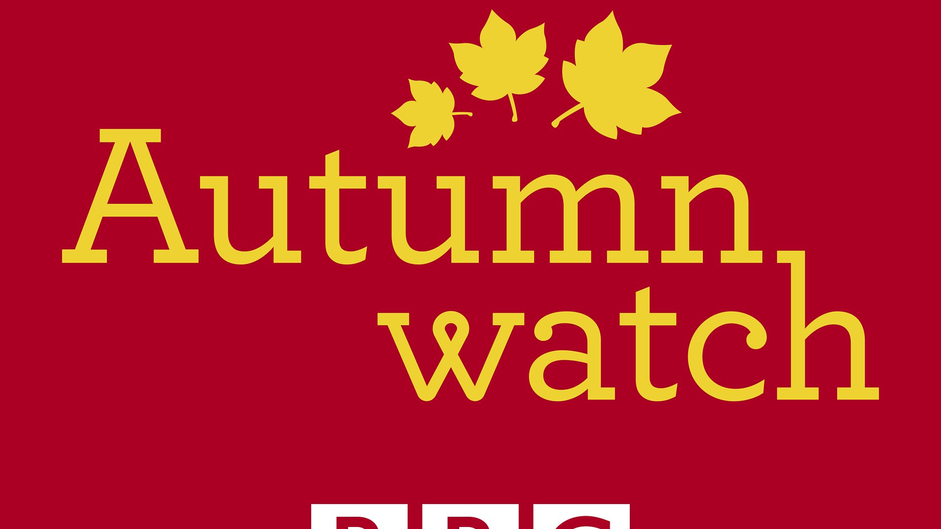 BBC Two - Autumnwatch - Everything you need to know about Autumnwatch 2017