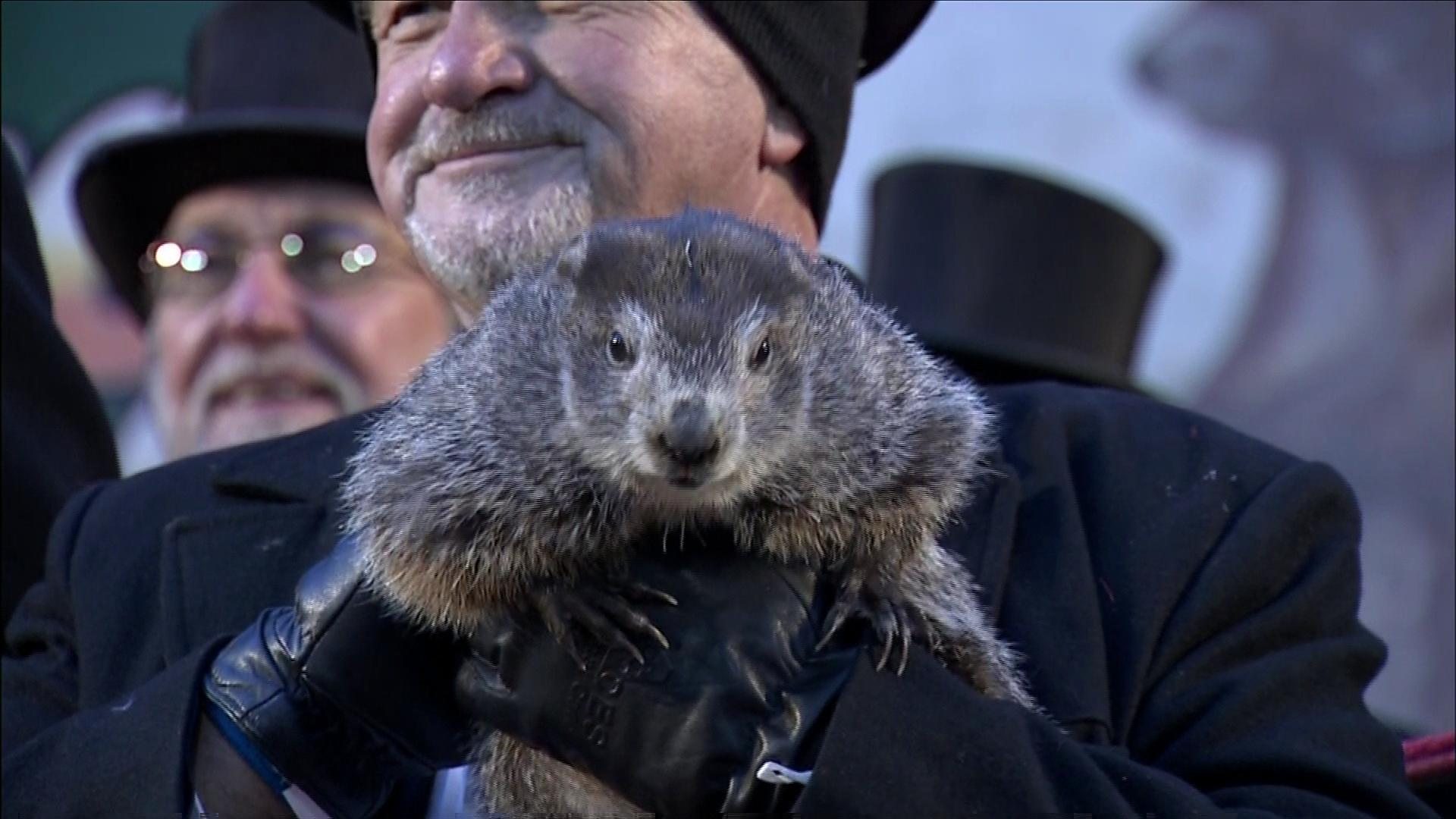 Groundhog Day Punxsutawney Phil Makes Prediction Bbc News