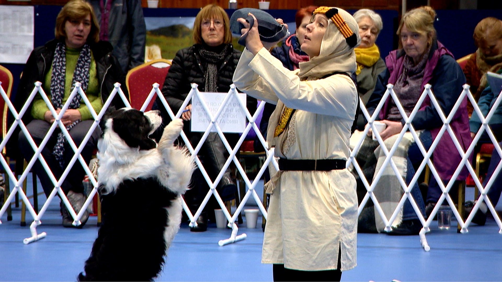 Crufts dancing dogs store 2019