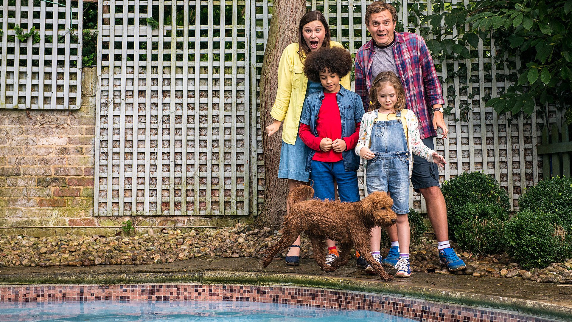 BBC iPlayer Waffle the Wonder Dog Series 1 15. Waffle and the