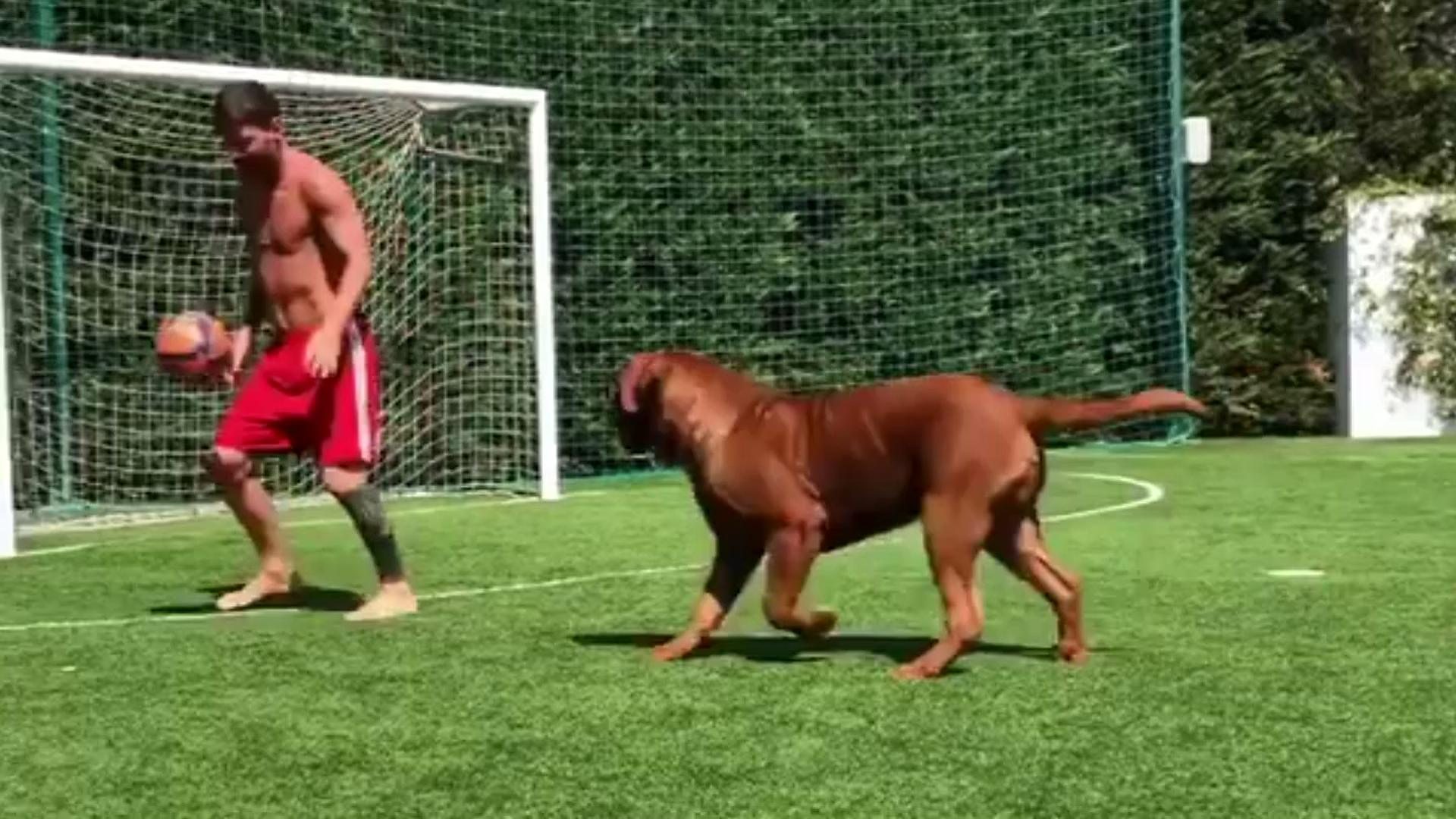 Lionel Messi playing with his dog! - video Dailymotion