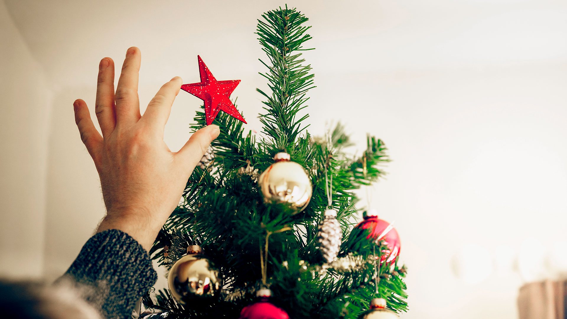 BBC - 12 top tips for the perfect Christmas