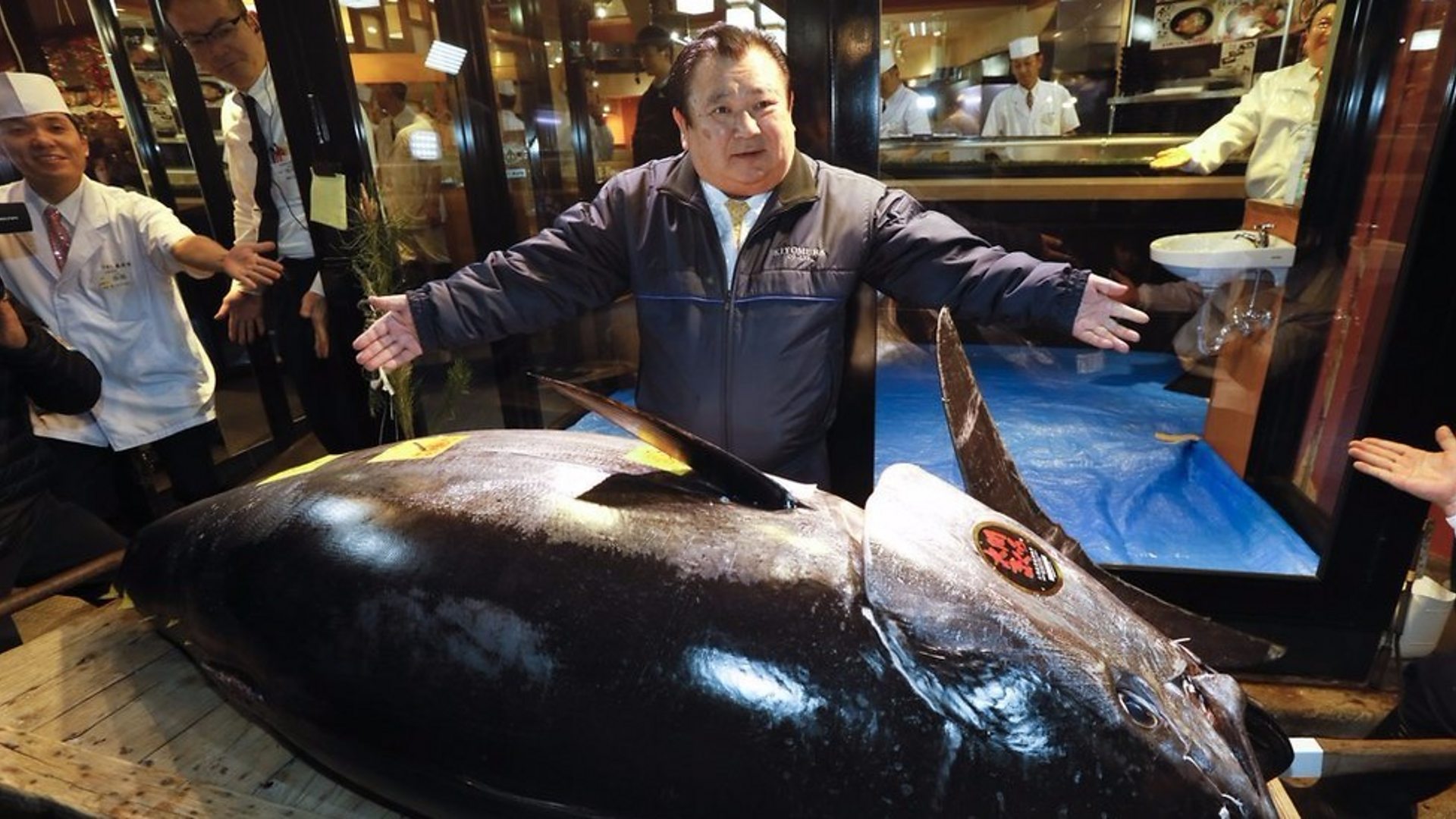 What is Japan's most prized fish?