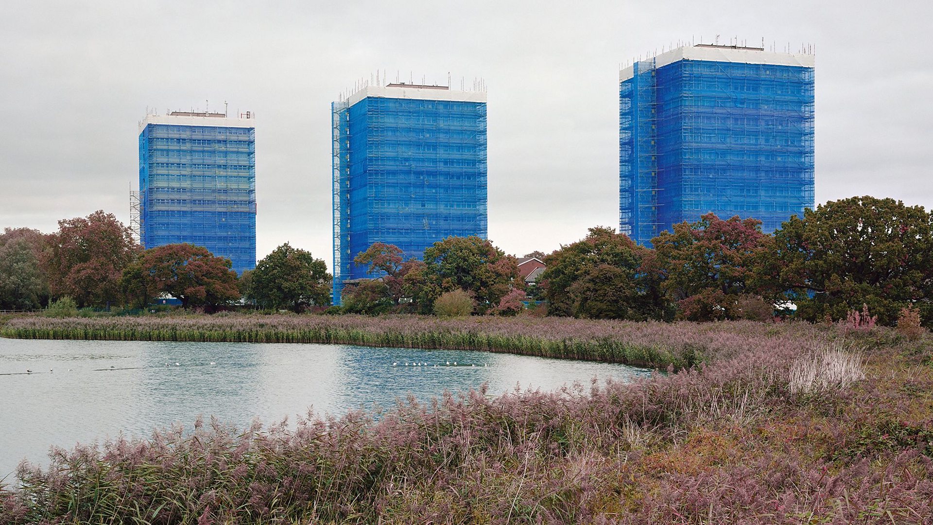 BBC Arts - BBC Arts - The 'magical sadness' where nature meets the