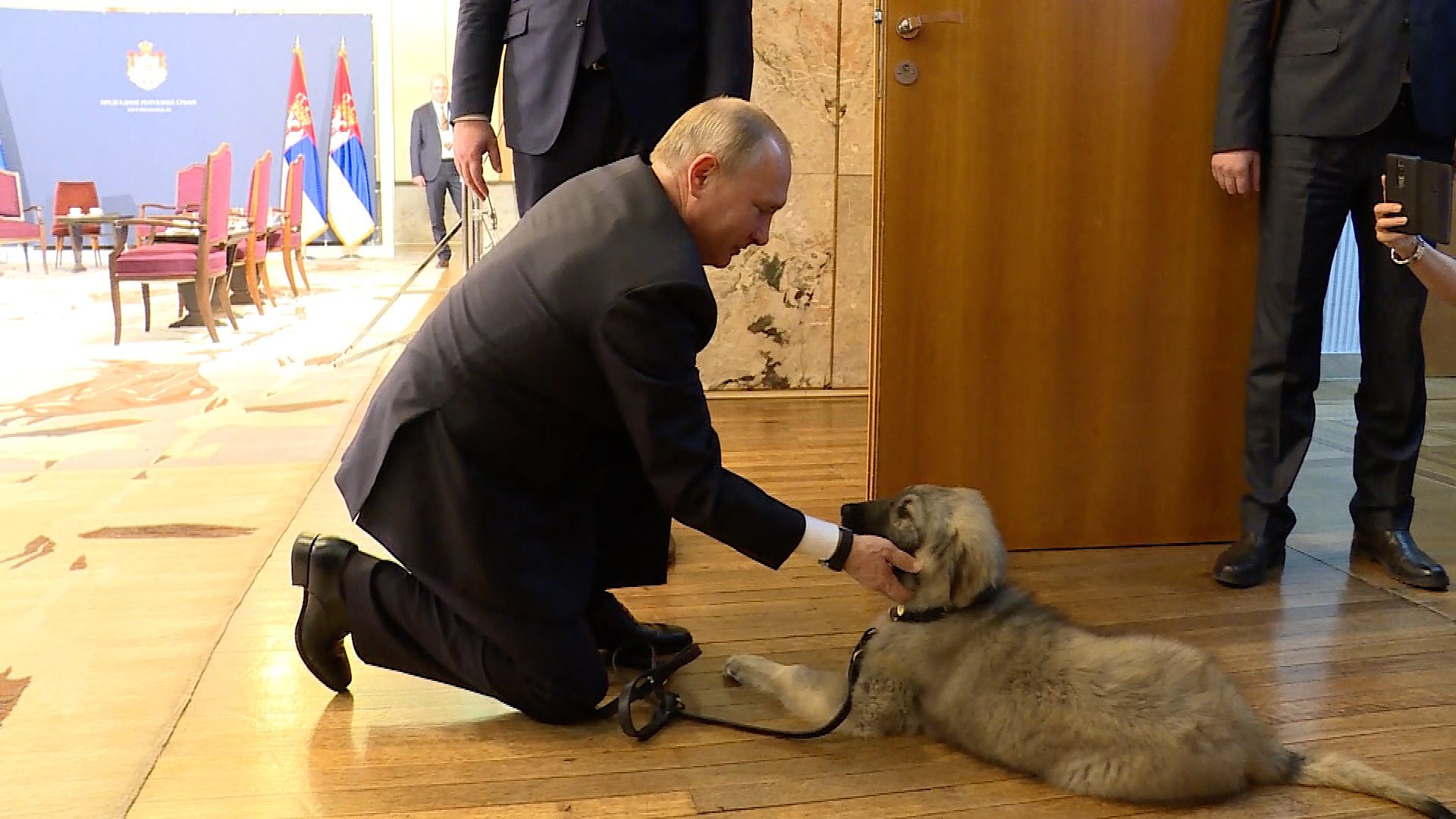 Порода Собак У Путина Фото