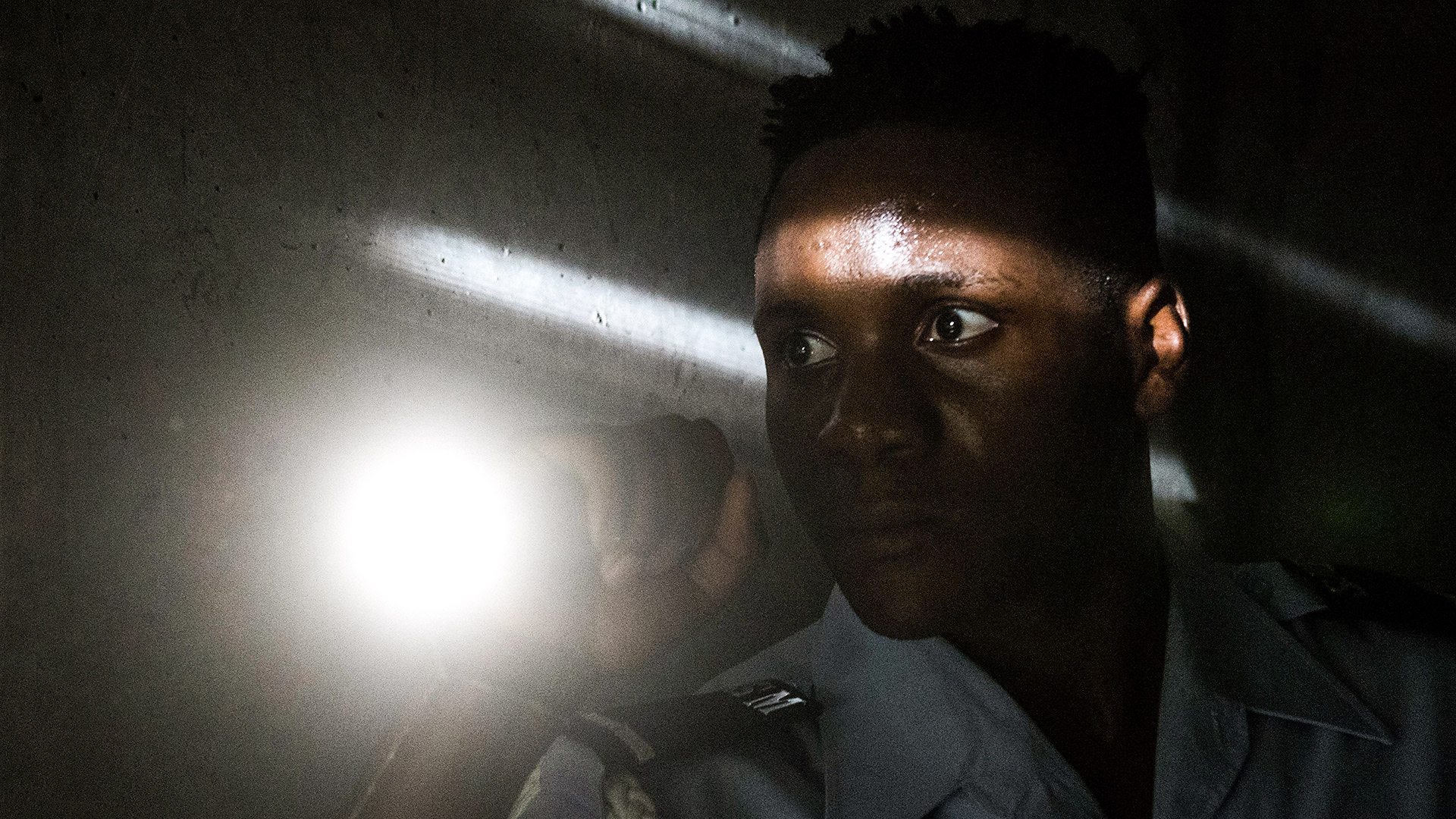 BBC iPlayer - Death in Paradise - Series 8: Episode 6