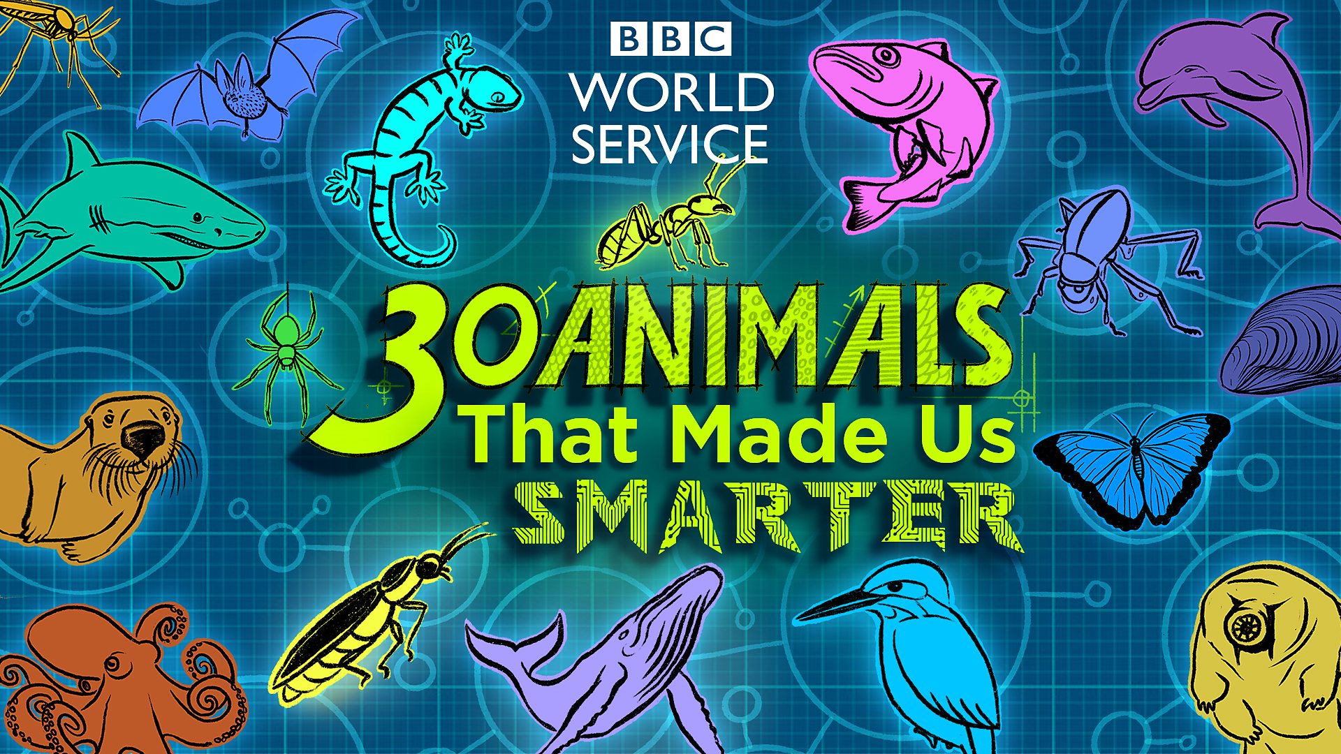 c World Service 30 Animals That Made Us Smarter 30 Animals That Made Us Smarter Find Out More