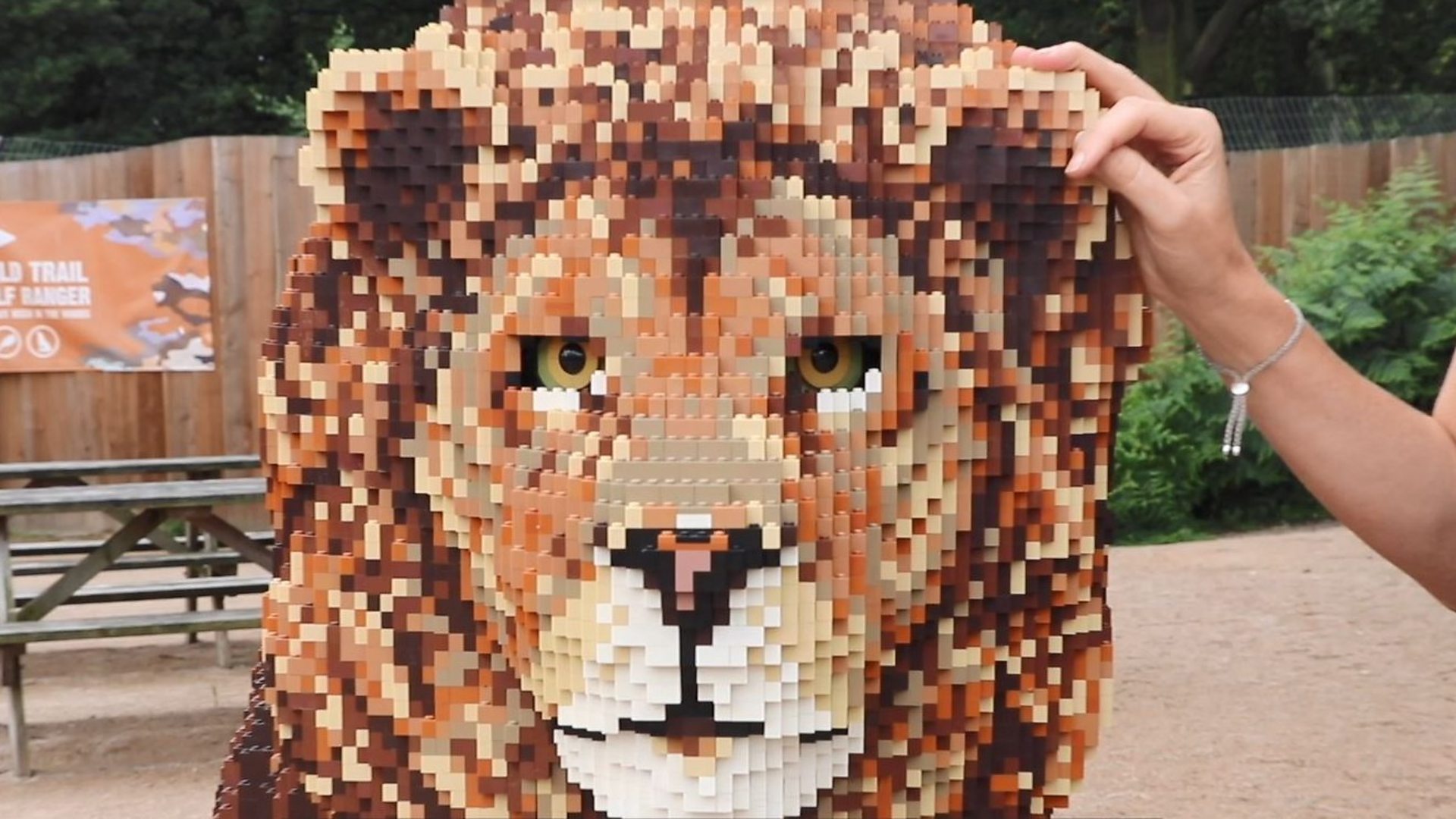 Lego life-size 'animals' on show at Knowsley Safari - BBC News