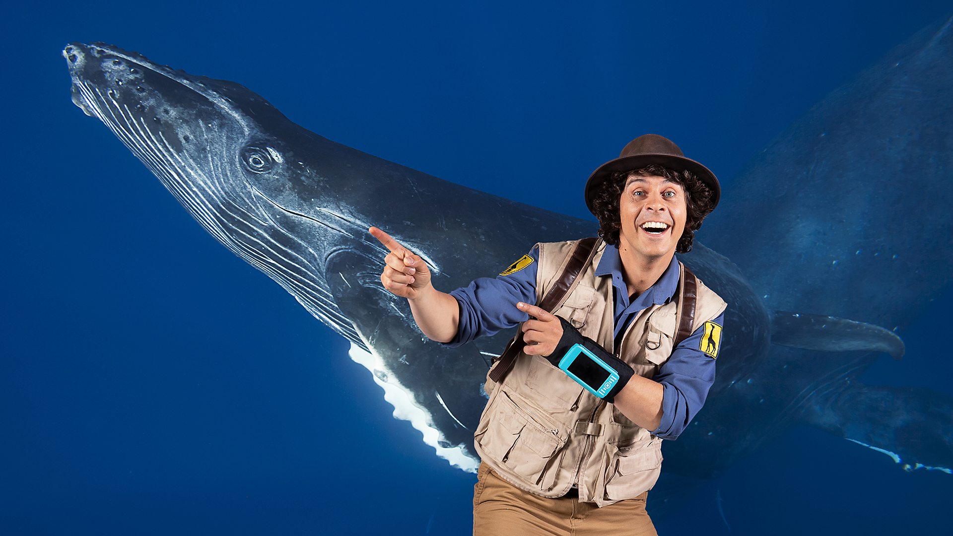 Bbc Iplayer Andys Safari Adventures Series 1 31 Andy And The Humpback Whale 7641