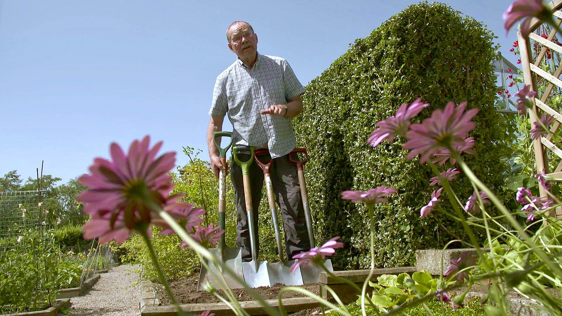 BBC Scotland - Beechgrove Garden, 2019, Episode 9, Different Types Of ...