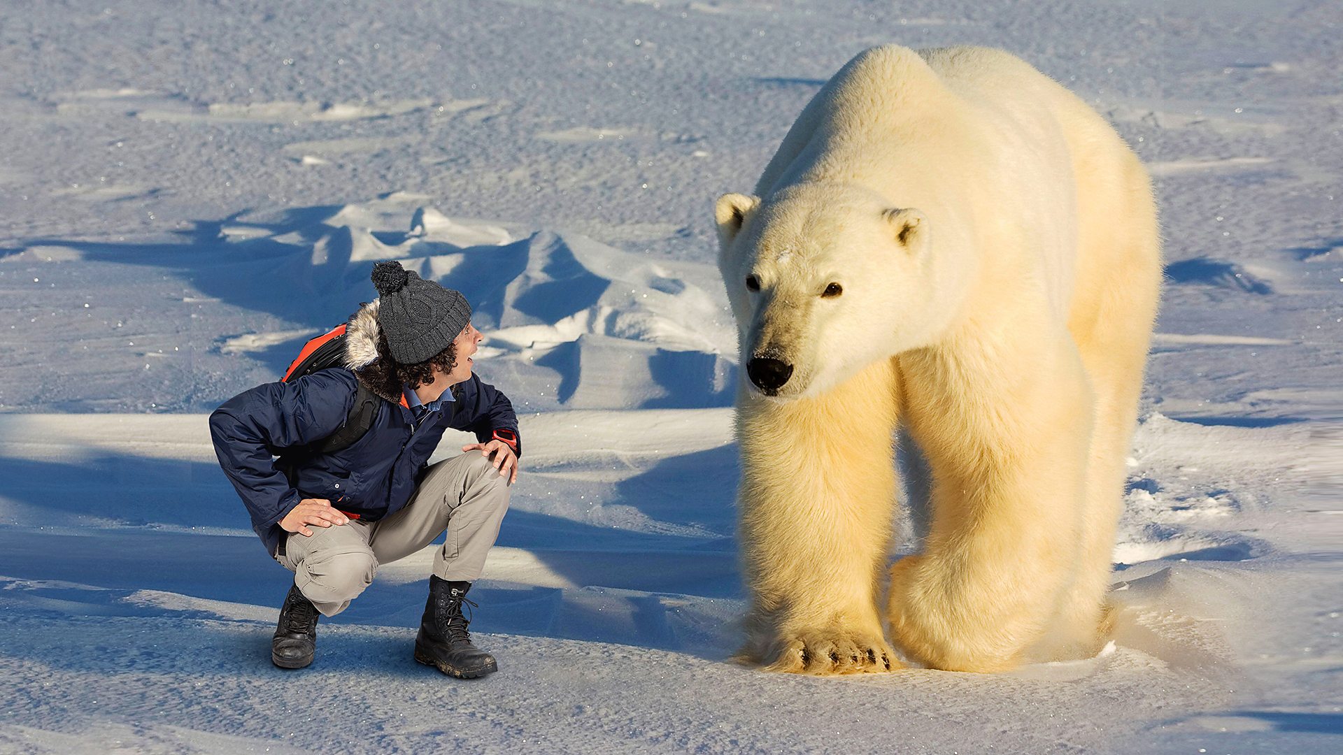 BBC iPlayer - Andys Wild Adventures - Series 2: 10. Polar Bears