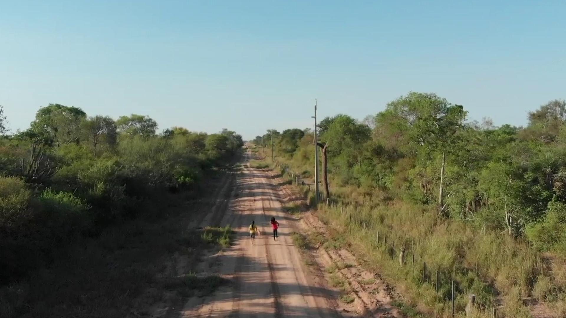 Chaco forest home of an ancient indigenous tribe is destroyed at dramatic rates