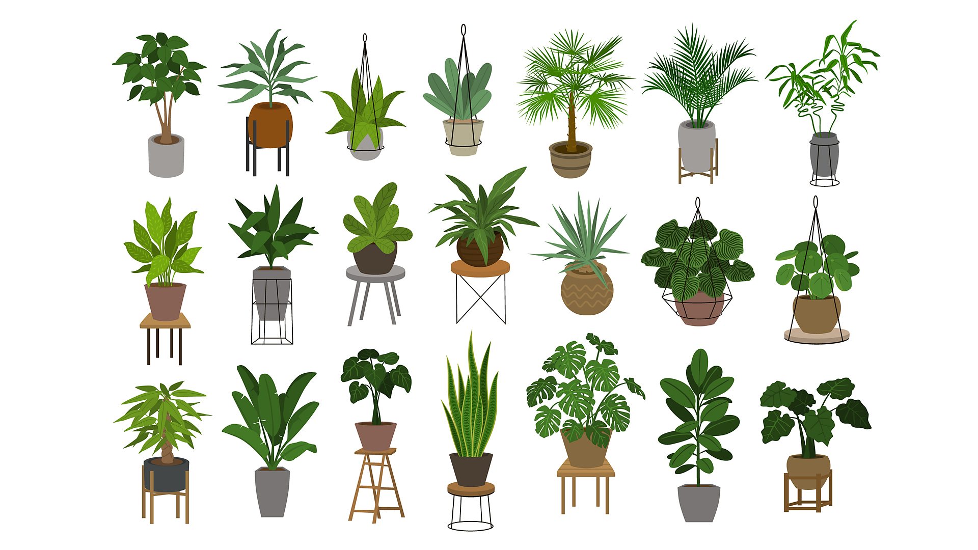 Bbc Radio 4 Radio 4 In Four Wellbeing And Air Purifying The Truth About Houseplants