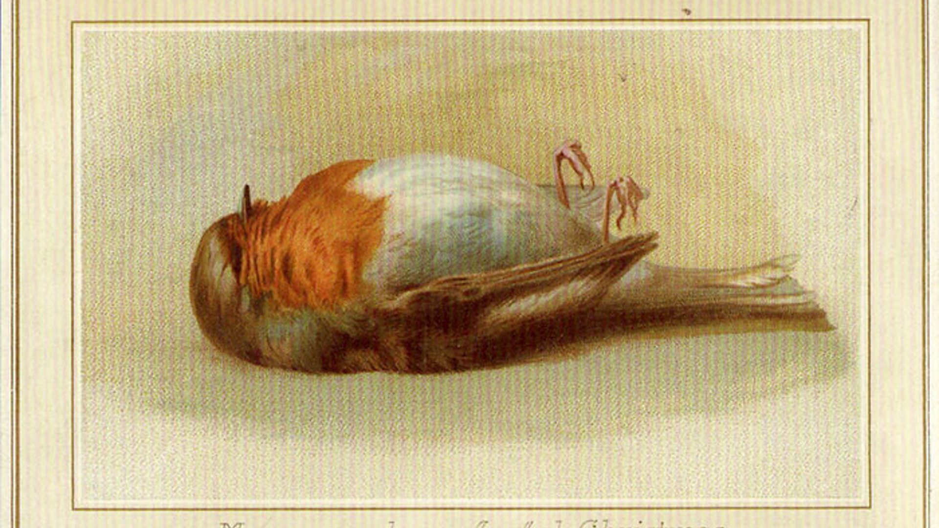 Facts About Victorian Christmas Cards