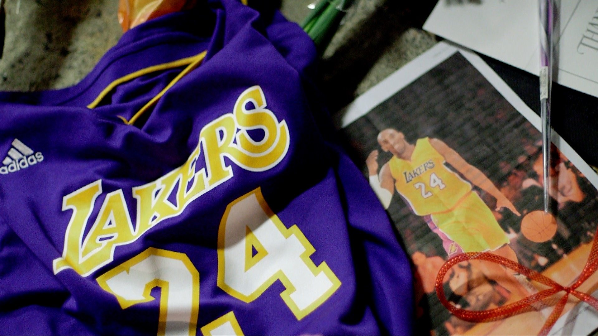 bryant young jersey for sale