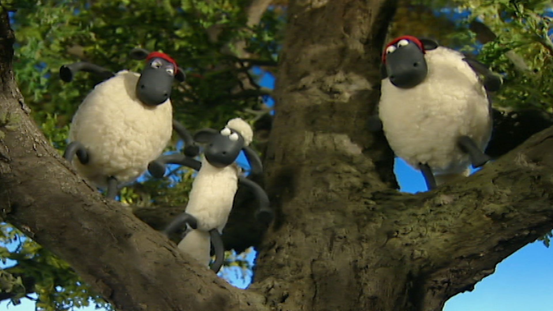 BBC IPlayer - Shaun The Sheep - Series 1: 29. Save The Tree