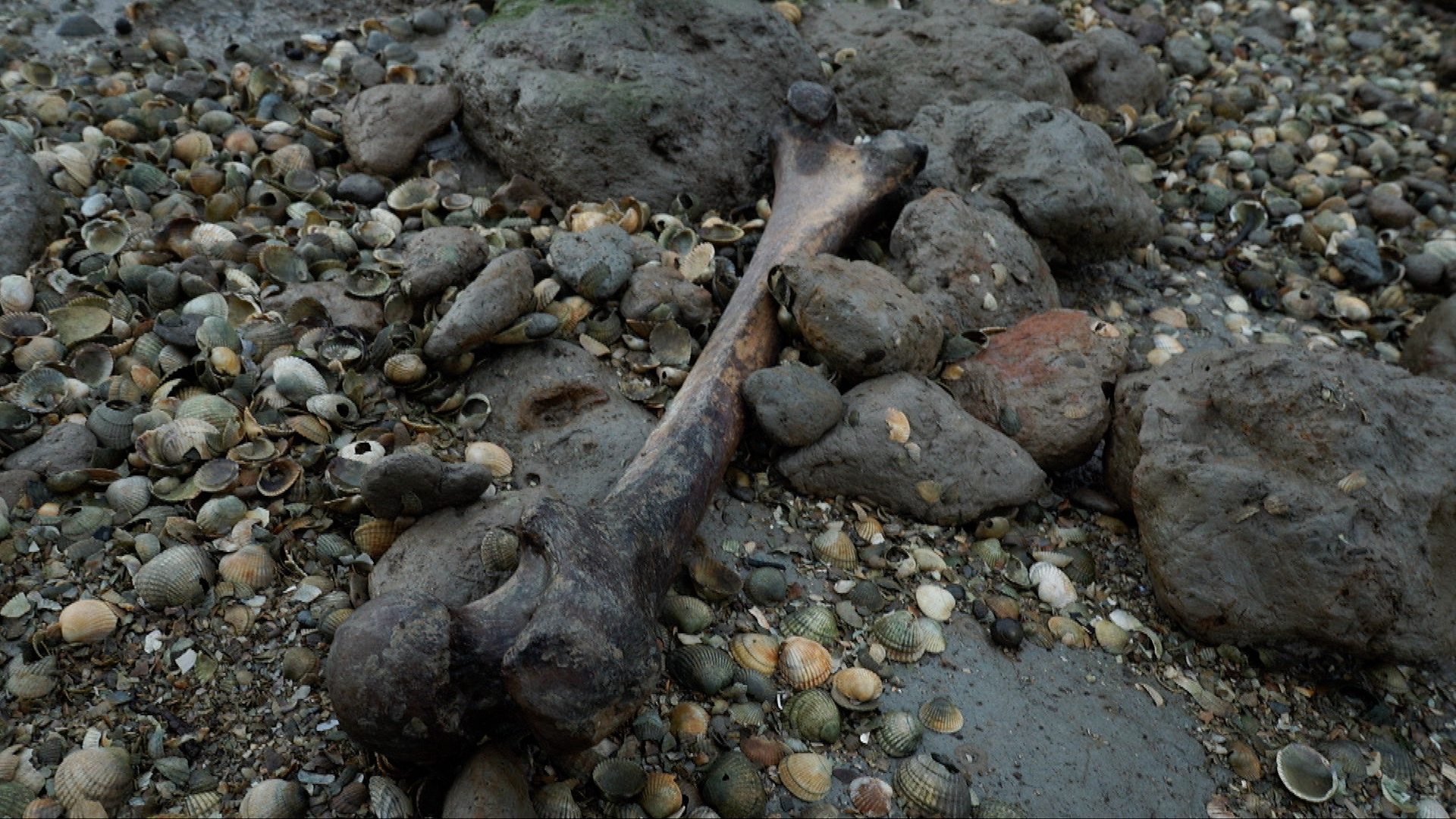 Deadman S Island Grave Of Brave Surgeon Destroyed By Tides c News