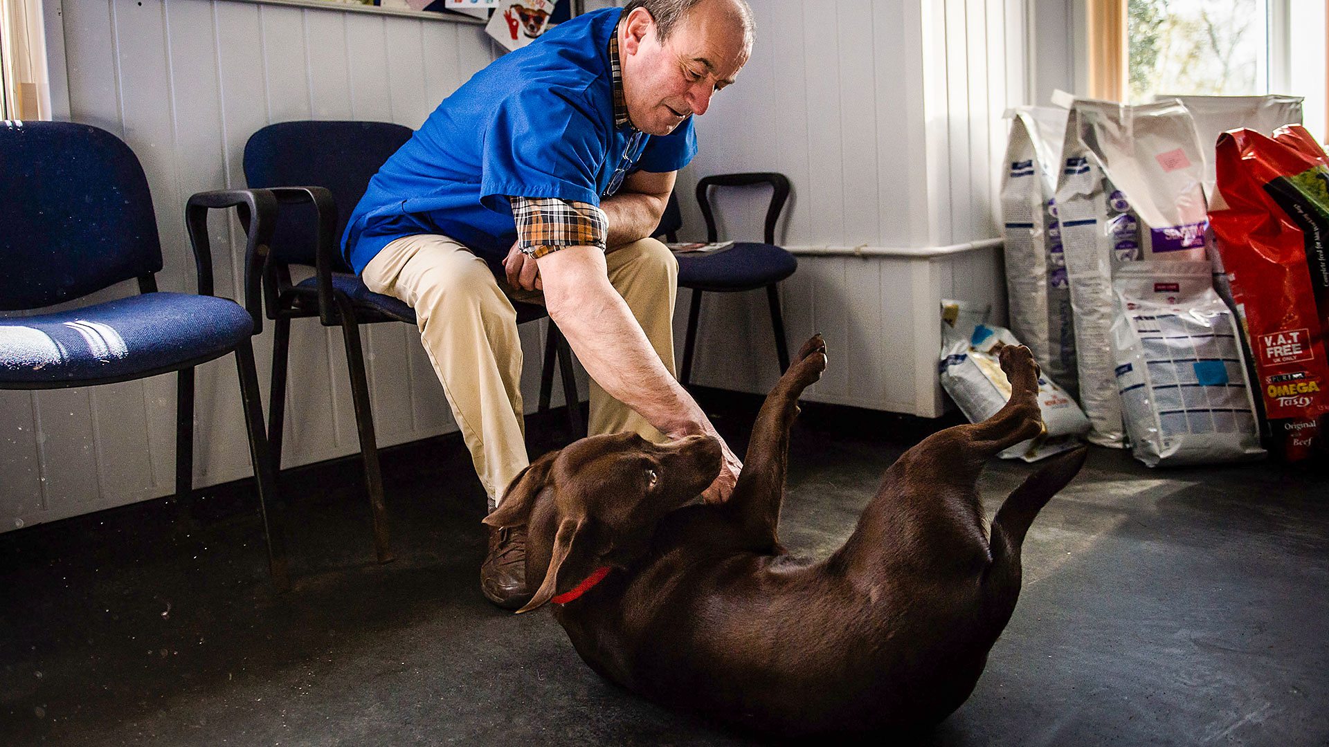 BBC iPlayer Mountain Vets Series 2 Episode 5