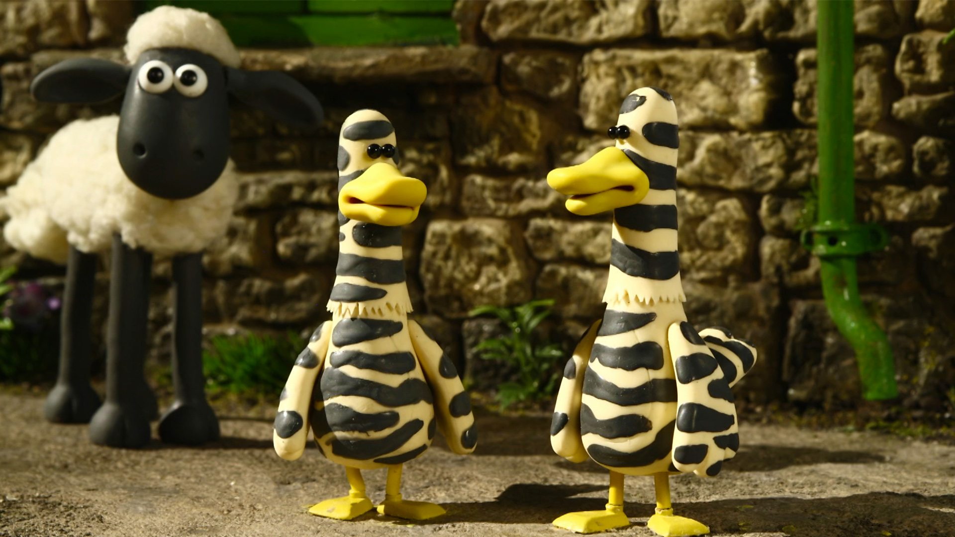 BBC IPlayer - Shaun The Sheep - Series 2: 28. Zebra Ducks Of The Serengeti