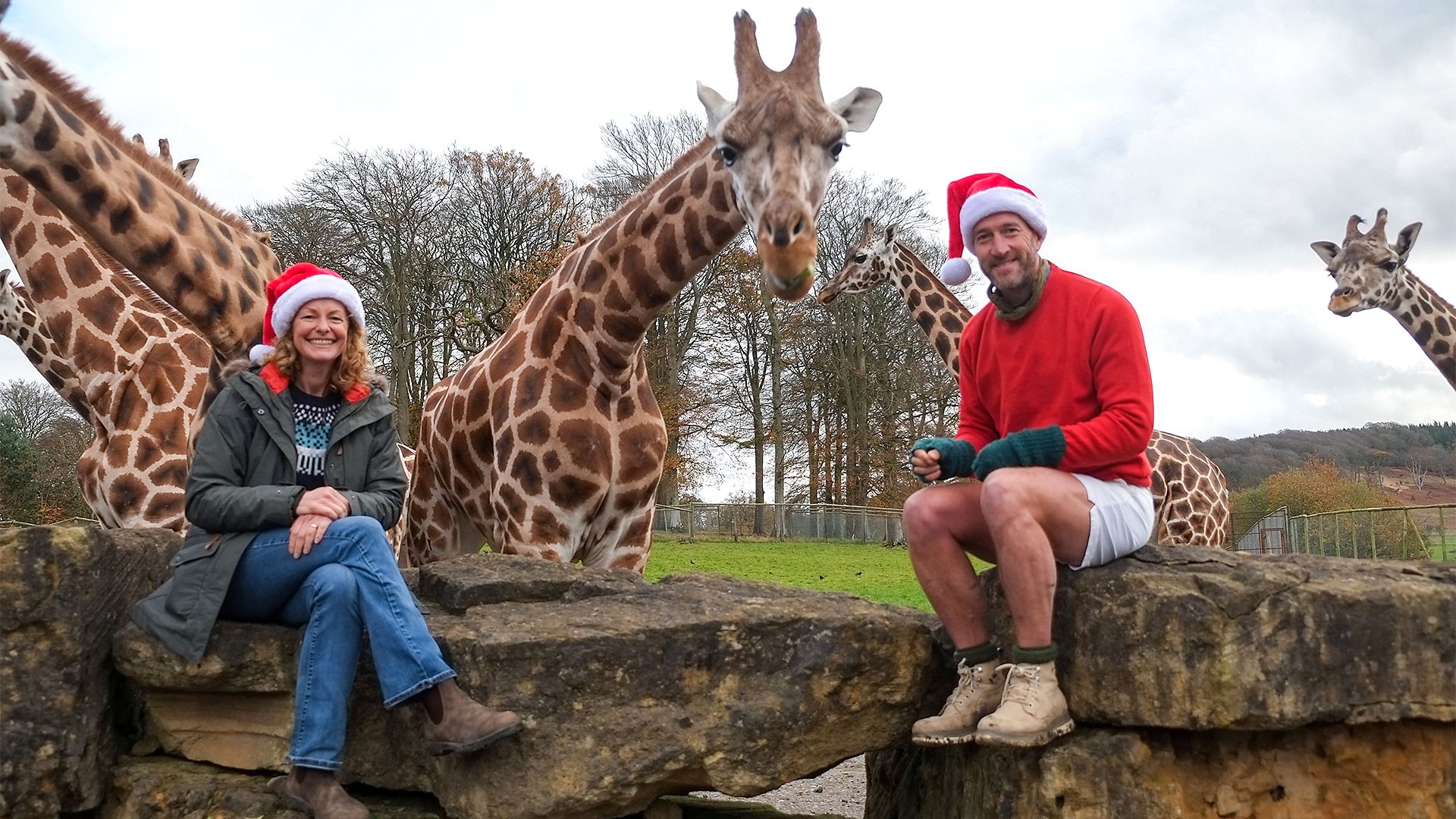 BBC iPlayer Animal Park Christmas 2020 Episode 1