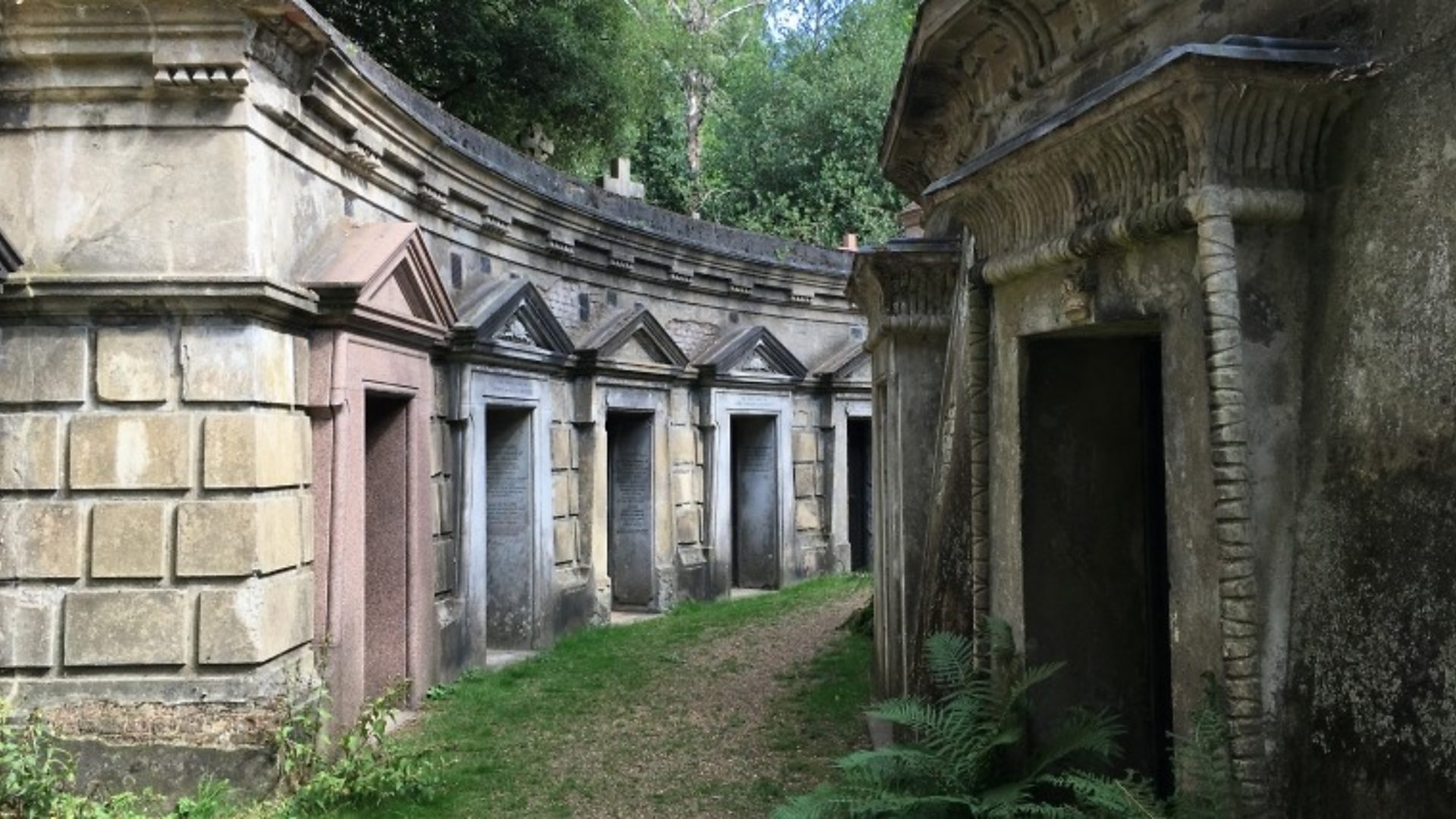 Future Proofing Highgate Cemetery For Climate Change c News