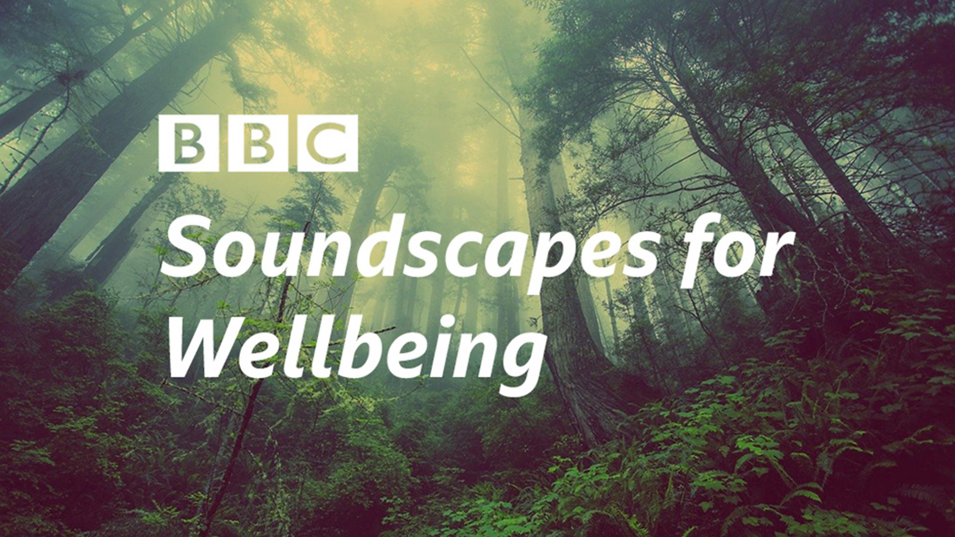 for Wellbeing aims to nature to everyone - Media