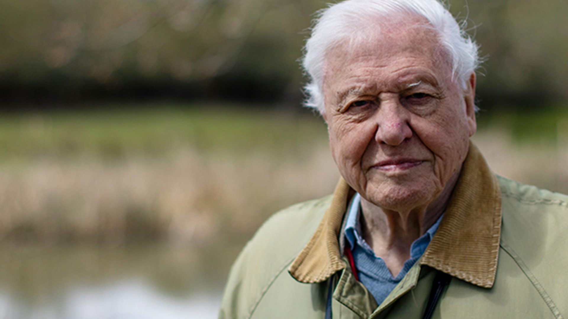 BBC unveils coverage plans for COP26 climate change conference Media Centre