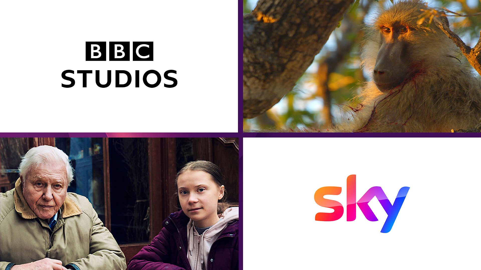 BBC Studios And Sky Deutschland Forge Substantial Factual Output Deal ...