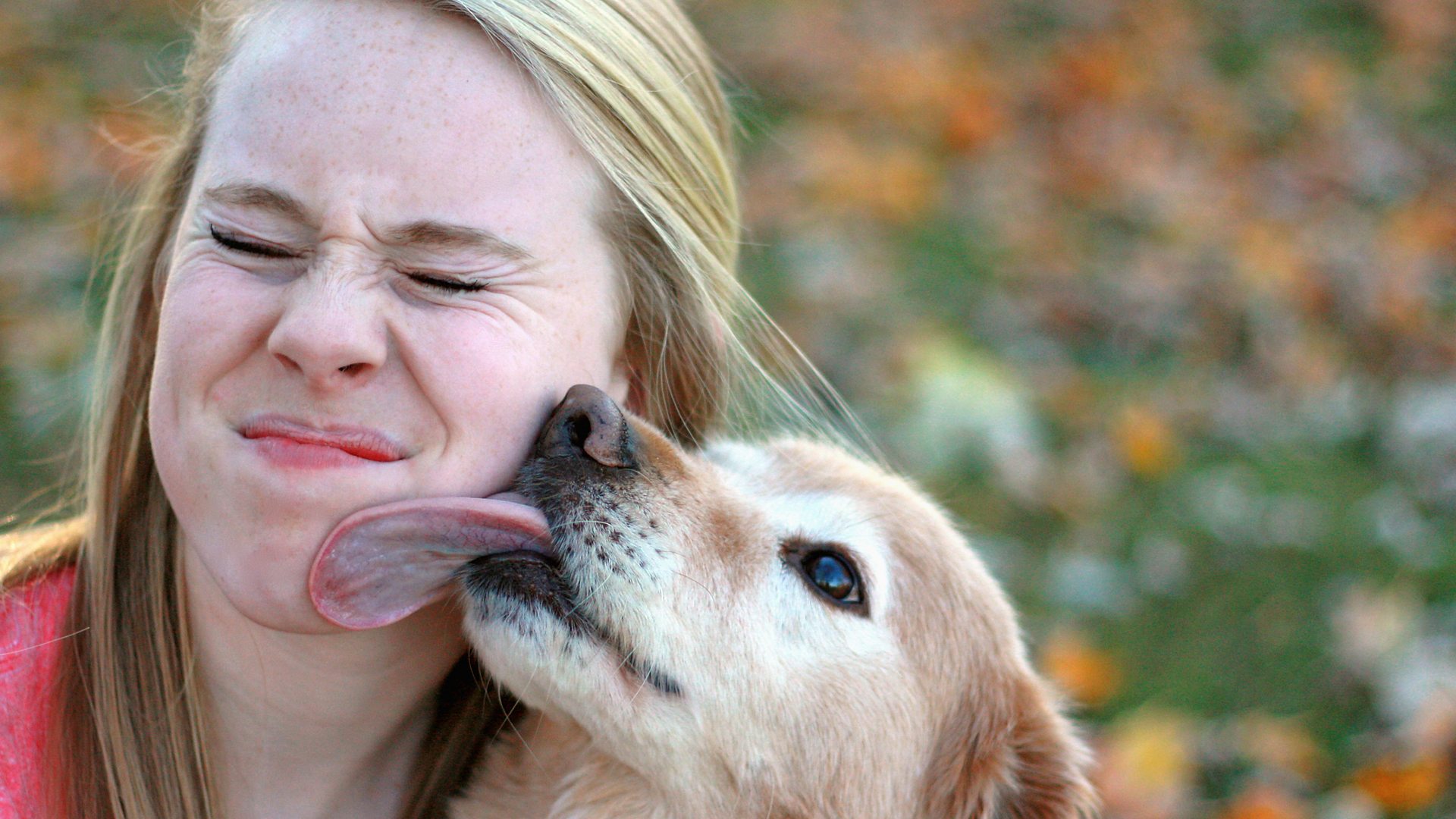 Dog cumming on face