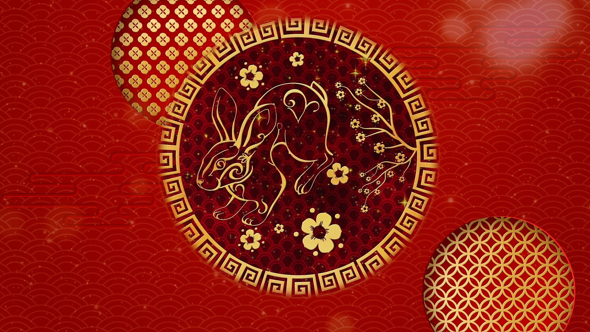 Lunar New Year: Happy Year of the Rabbit - what you need to know - BBC  Newsround