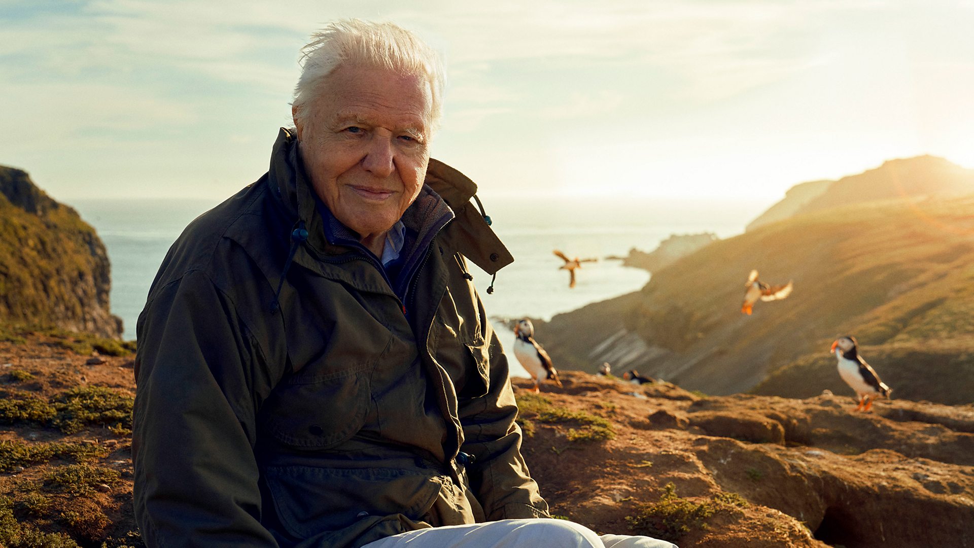 Watch the trailer for Wild Isles presented by Sir David Attenborough
