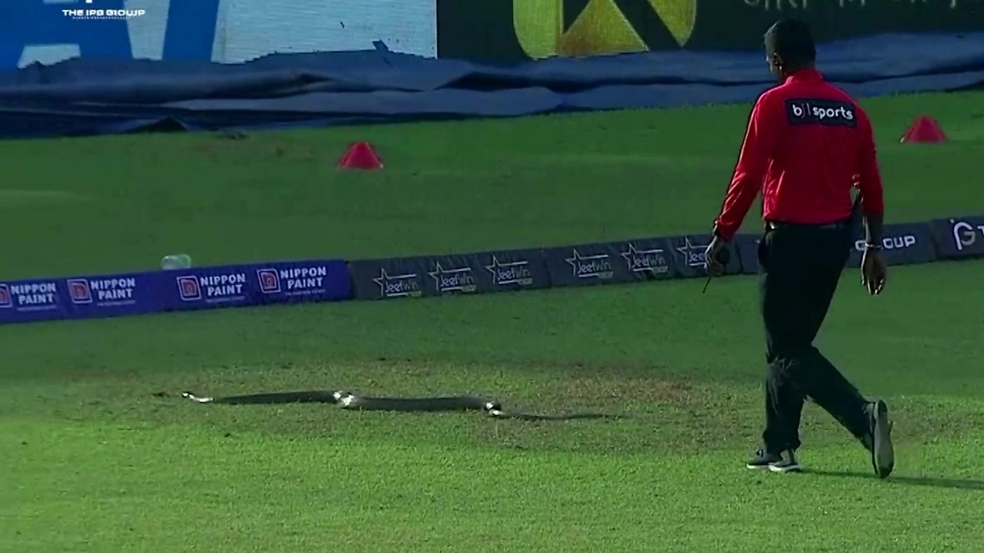 WATCH: Snake stops play during T20I between India and South Africa