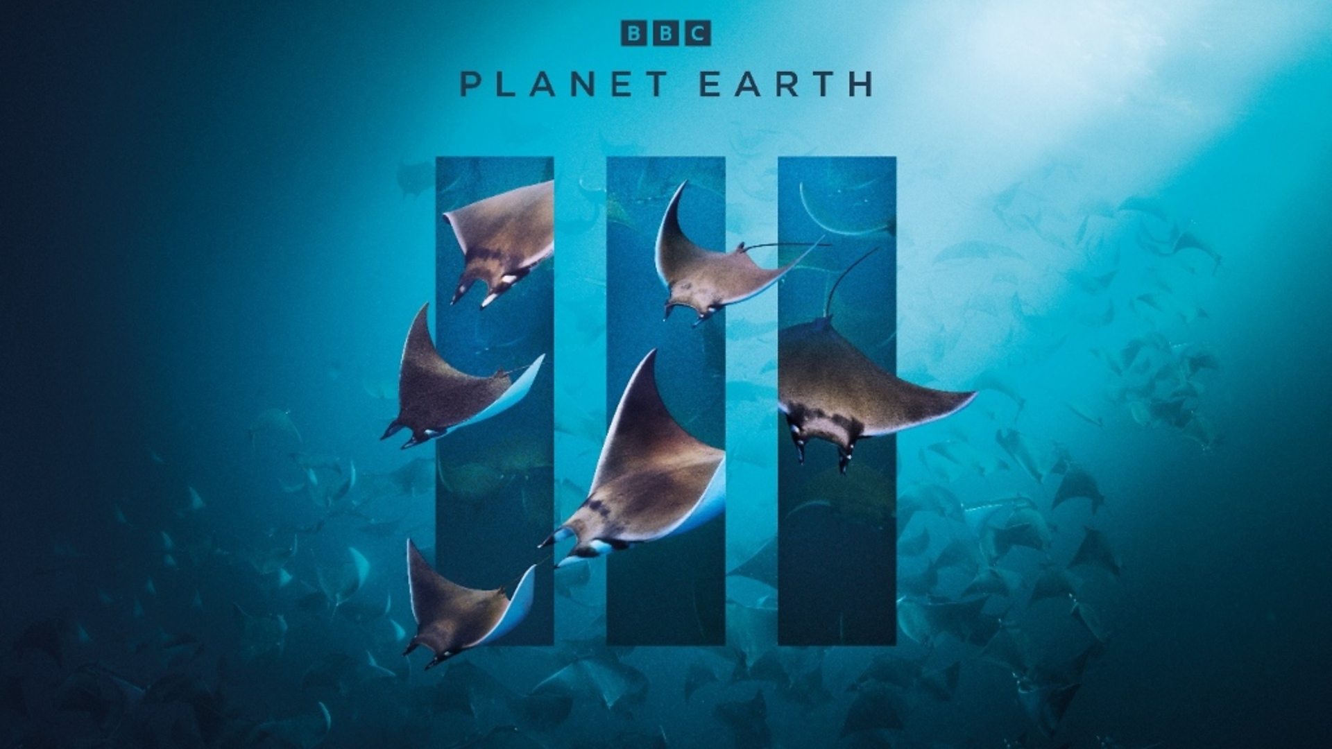 Planet Earth Iii Episode Ocean Everything You Need To Know