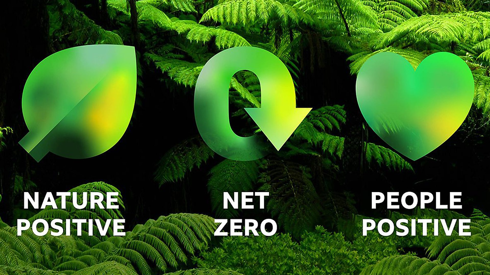 Long-term Net Zero targets approved to build a BBC for the future