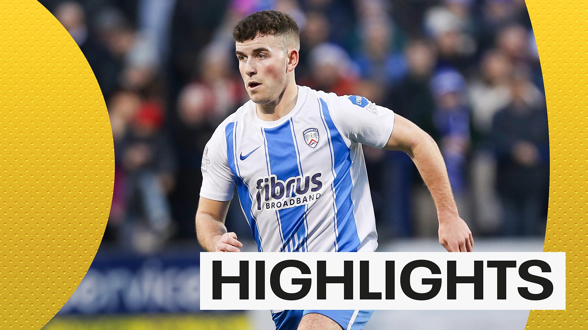 Hove Albion Fc Chelsea Brighton Watch Online Hove Albion Fc How To