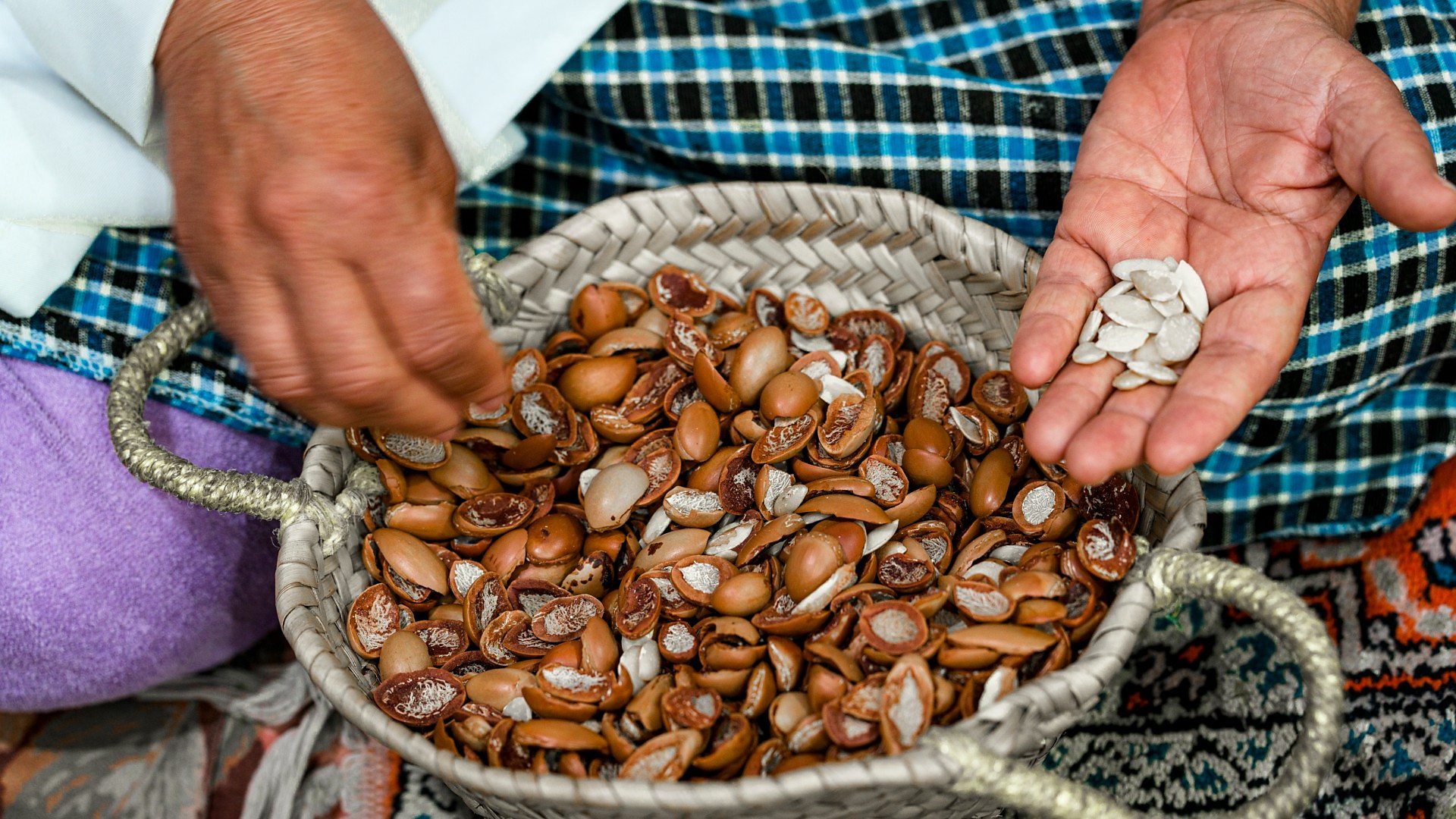 Hands of woman showing seeds in a souk. Seeds are believed to be one of the earliest items to be traded in the world (Credit: Getty Images)