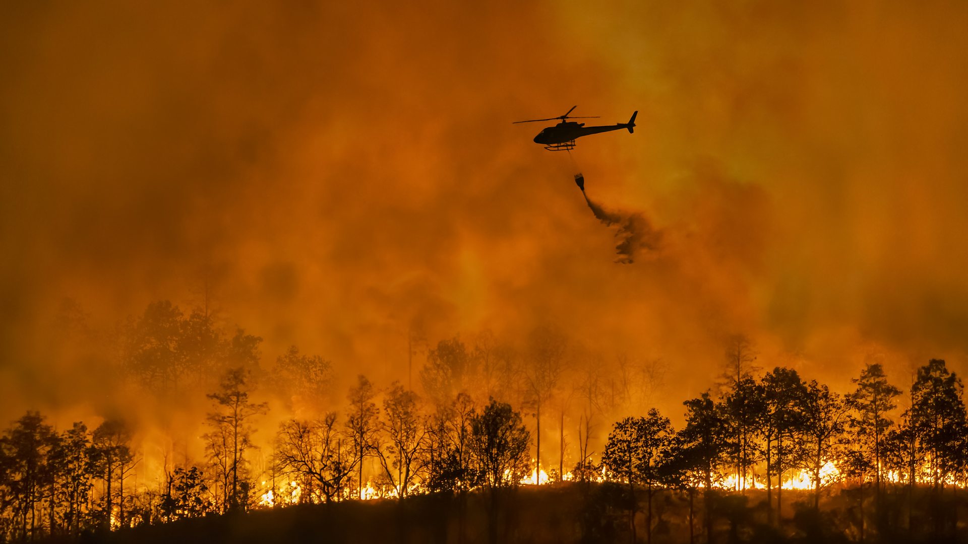 Stock image of a firefighting helicopter above a forest fire (Credit: Getty Images)