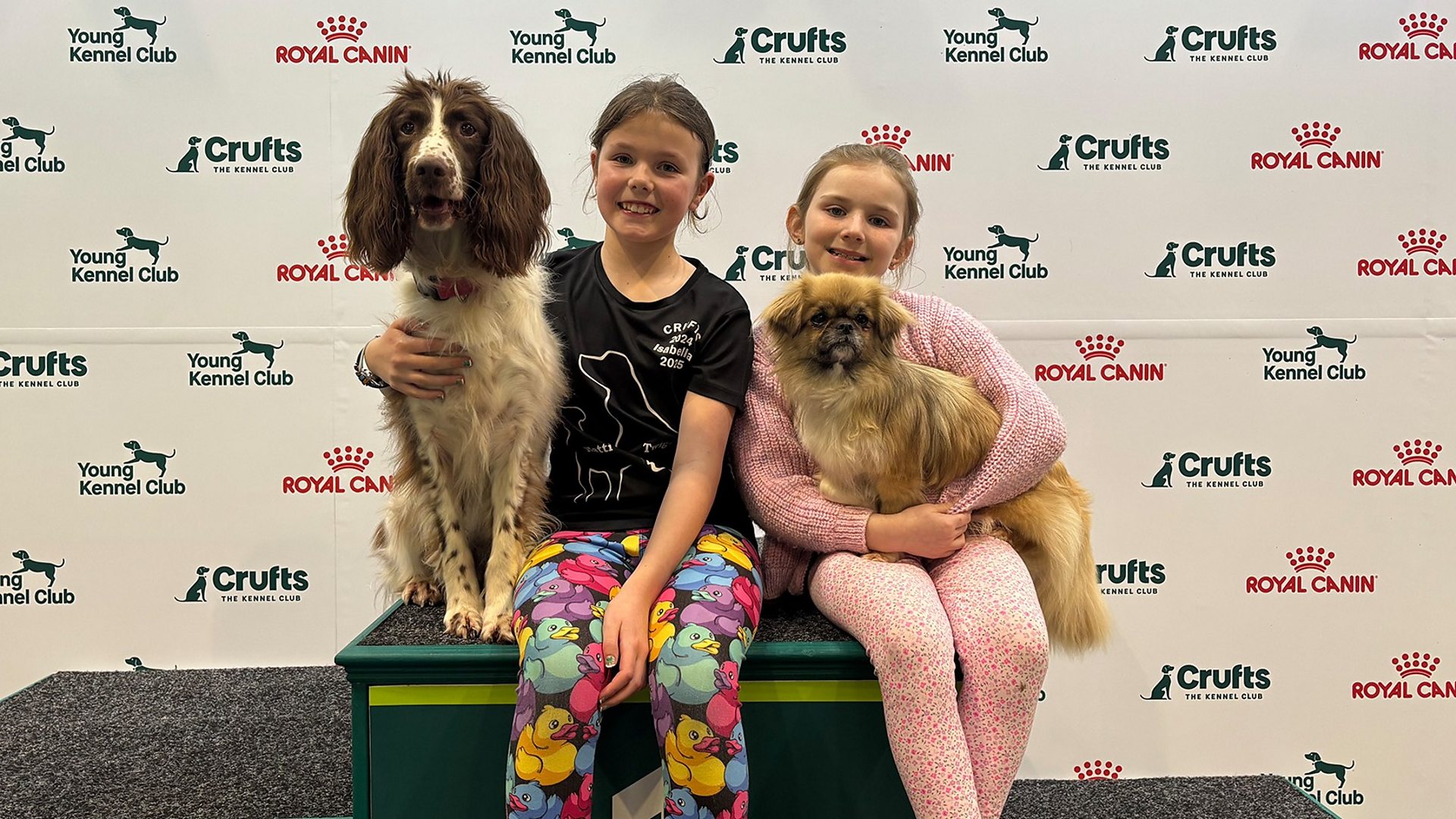 Terrier Crufts Tickets 2020 Crufts International Dog Show