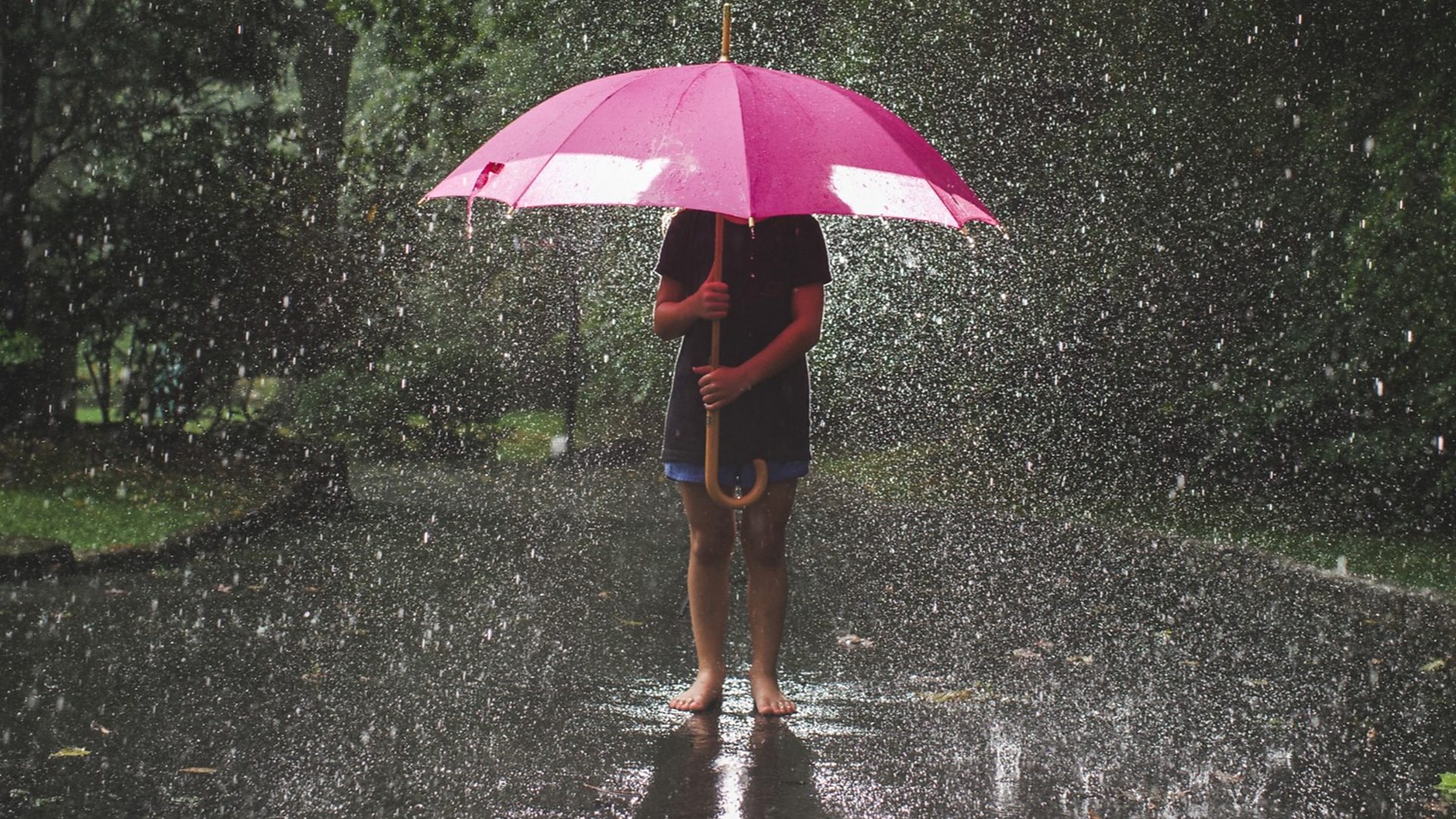 Girl carrying umbrella while standing on road against trees during rainfall (Credit: Cavan Images via Getty Images)