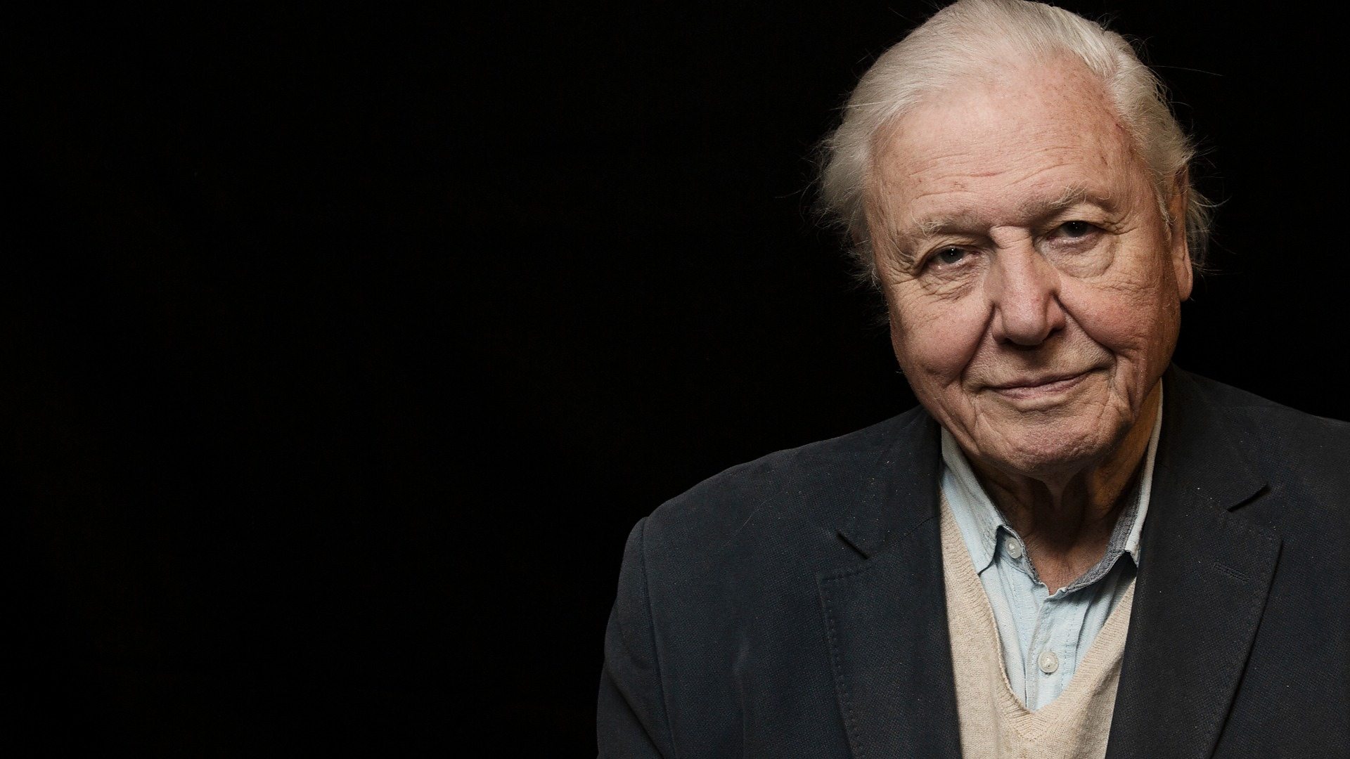 Career Highlights of Sir David Attenborough