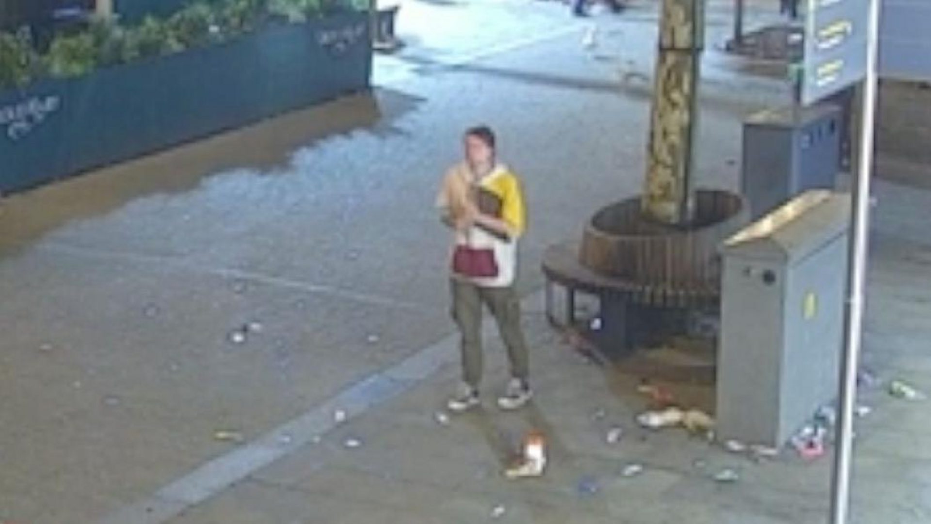 CCTV: Swansea sex attacker caught on CCTV exposing himself