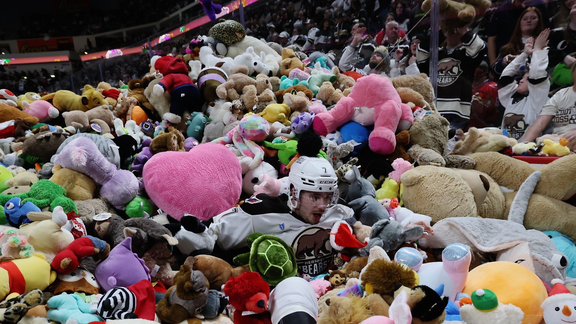 Moment over 100 000 teddy bears fly onto ice rink
